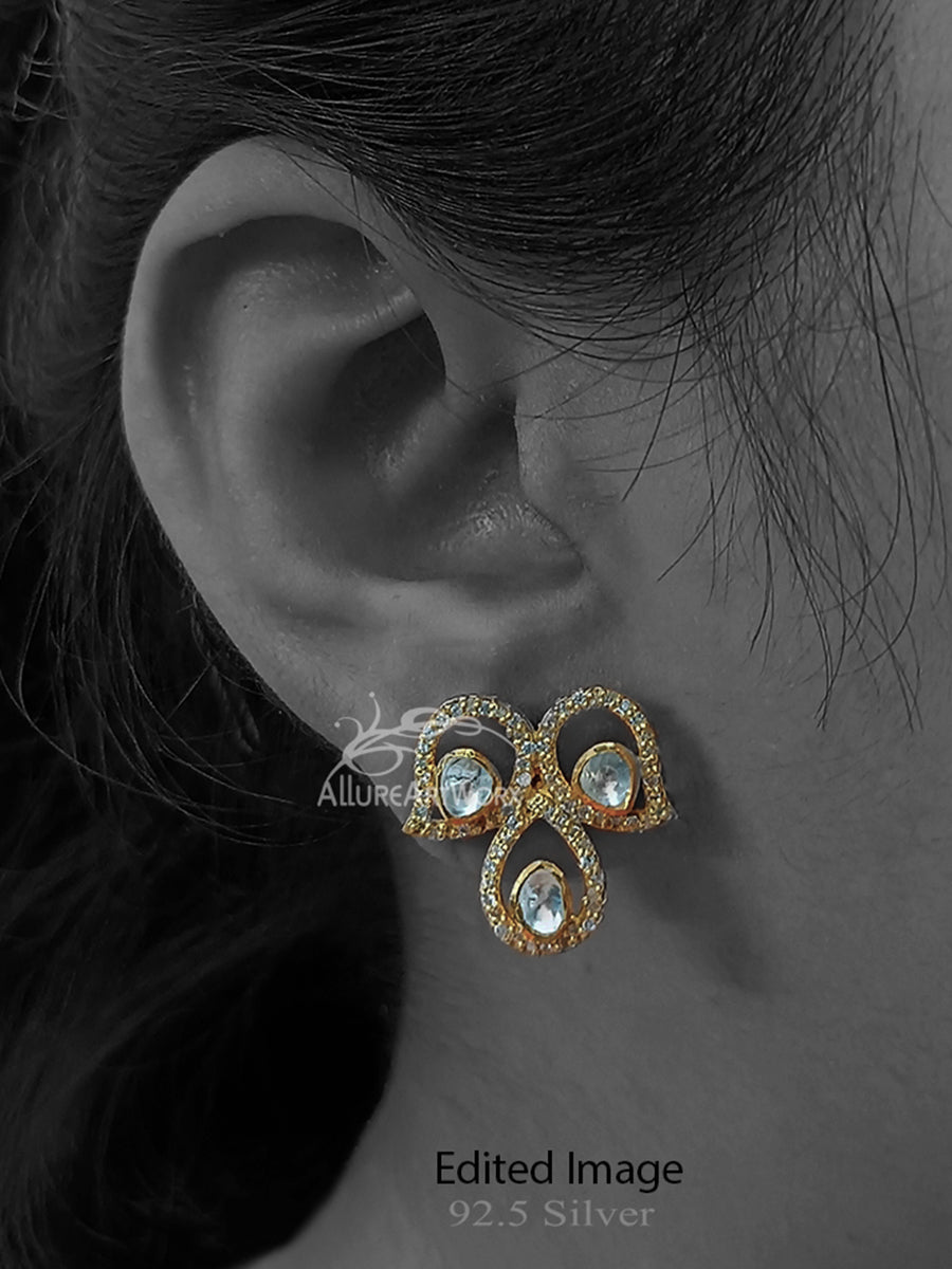 Sparkle Silver Earrings